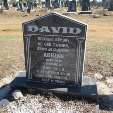 DAVID Adrial 1940-2009
