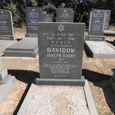 DAVIDOW Joseph Harry -1995