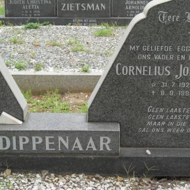 DIPPENAAR Cornelius Johannes 1929-1980