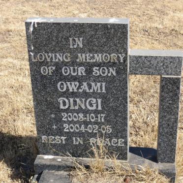 DINGI Owami 2003-2004