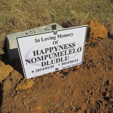 DLUDLU Happyness Nompumelelo 2014-2014