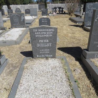 ECKLEY Pieter 1964-1984