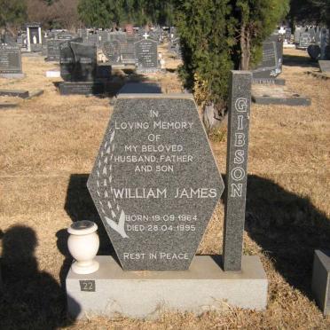 GIBSON William James 1964-1995