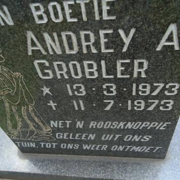 GROBLER Andrey A. 1973-1973