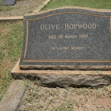 HOPWOOD Olive -1958
