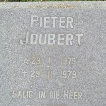 JOUBERT Pieter 1979-1979