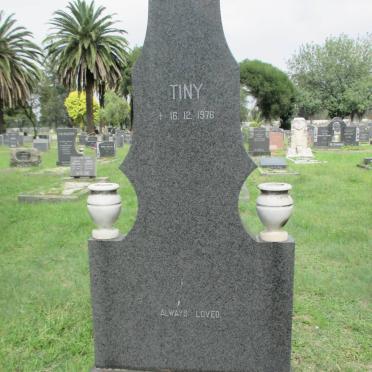 LANGLEY Tiny -1976