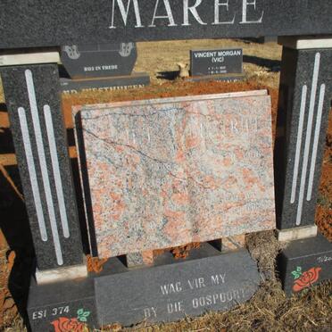 MAREE Piet 1936-1988 &amp; Beatrice 1936-