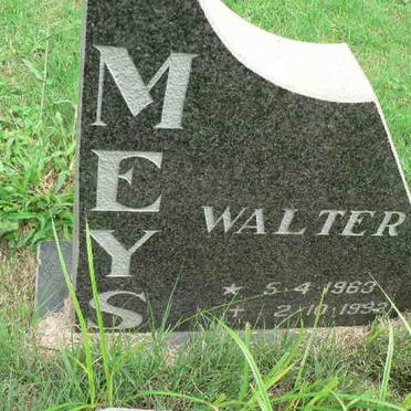 MEYS Walter 1963-1992