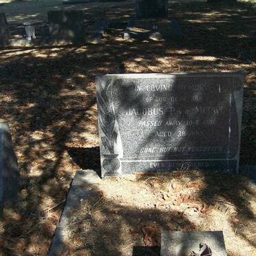 MERWE Jacobus P., v.d. -1980