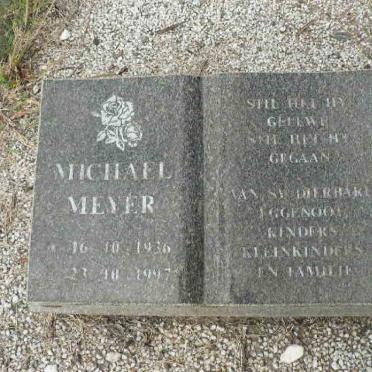 MEYER Michael 1936-1997