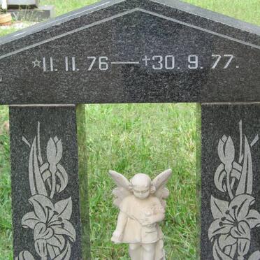 MIONE Maurizio 1976-1977