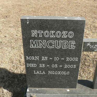 MNCUBE Ntokozo 2002-2003