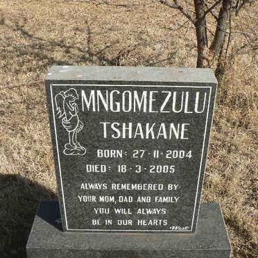 MNGOMEZULU Tshakane 2004-2005