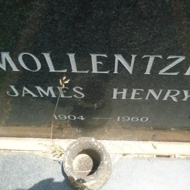 MOLLENTZE James Henry 1904-1960