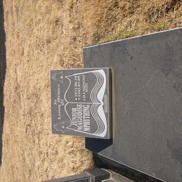 MPHUTHING Junior Magodise 1971-1995