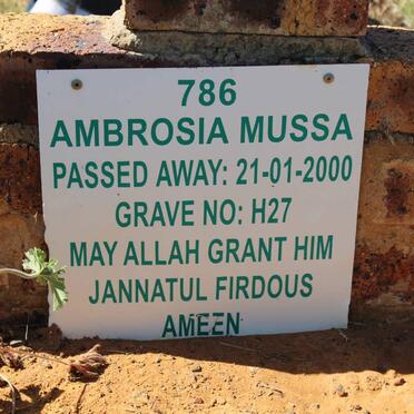 MUSSA Ambrosia -1000