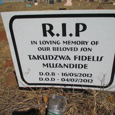 MUSANDIDE Takudzwa Fidelis 2012-2012