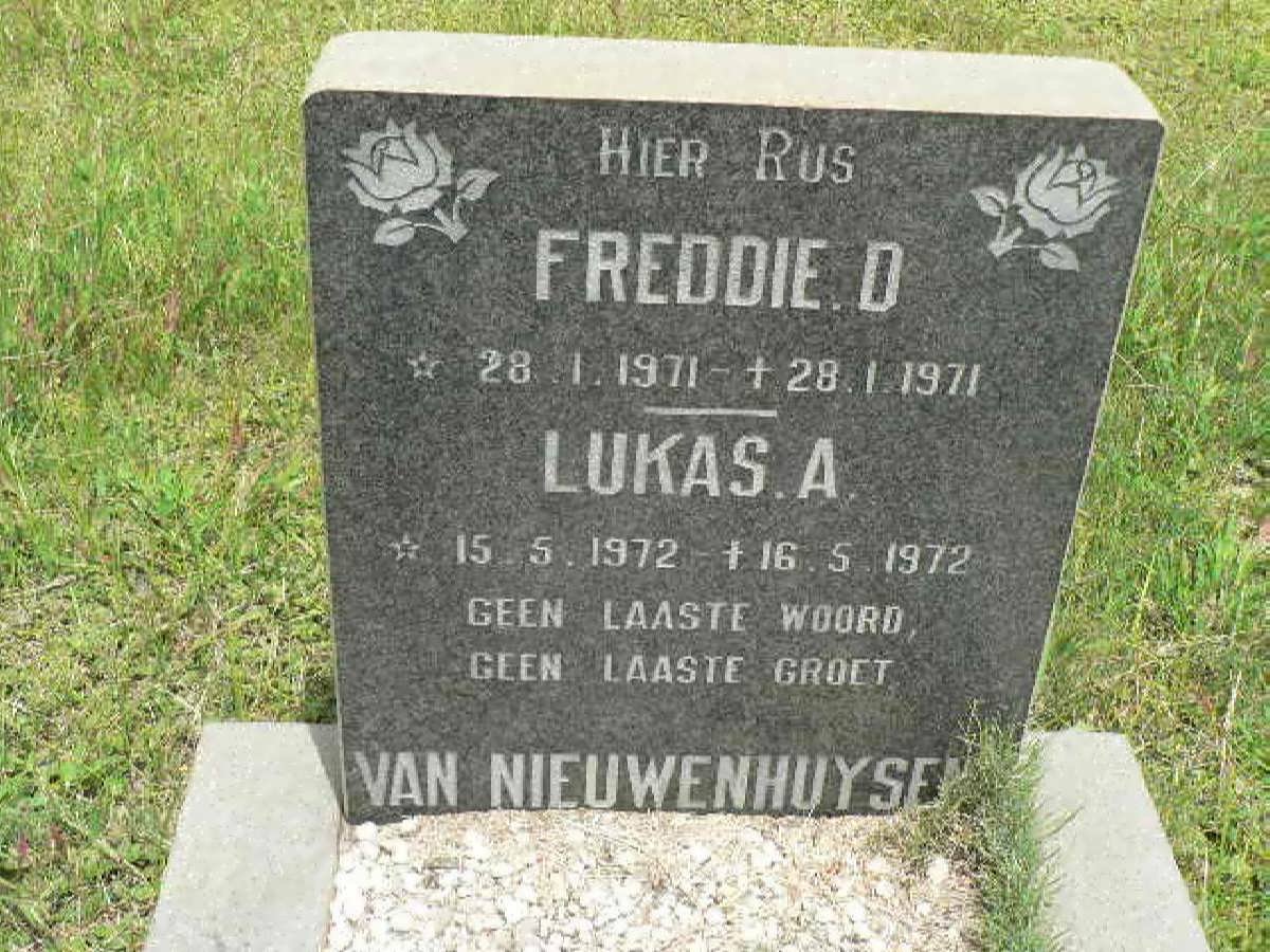 NIEUWENHUYSEN Freddie D., van 1971-1971 :: VAN NIEUWENHUYSEN Lukas A. 1972-1972