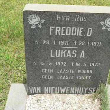 NIEUWENHUYSEN Freddie D., van 1971-1971 :: VAN NIEUWENHUYSEN Lukas A. 1972-1972
