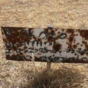 NTOKOZO ? Dlanhoi 2005-2006