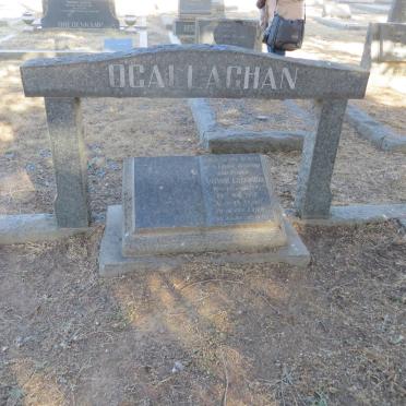 O'CALLAGHAN Arthur Lockwood -1952