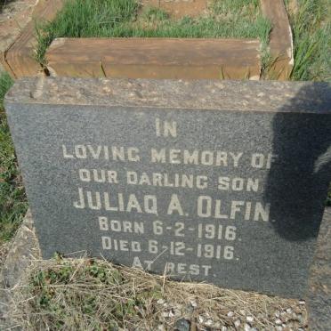 OLFIN Juliaq A. 1916-1916