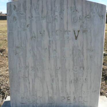 PAVADAY Anjeev 1995-1995