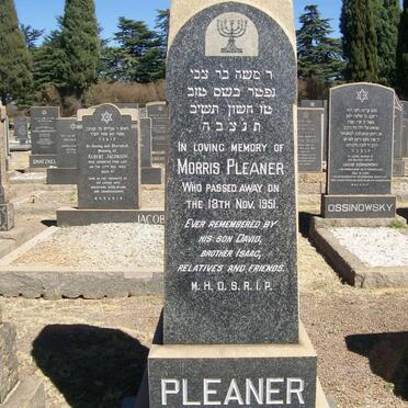 PLEANER Morris -1951