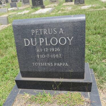 PLOOY Petrus A., du 1926-1987