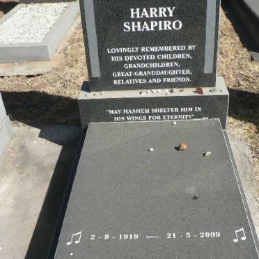 SHAPIRO Harry 1919-2009