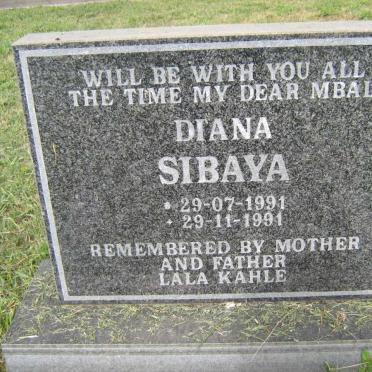 SIBAYA Diana 1991-1991