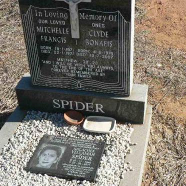 SPIDER Salachee Yellamah 1949-2011 :: SPIDER Mitchelle Francis 1971-1971 :: SPIDER Clyde Bonafis 1974-2007