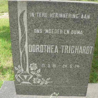 TRICHARDT Dorothea 1891-1974