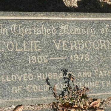 VERDOORN Collie 1906-1978