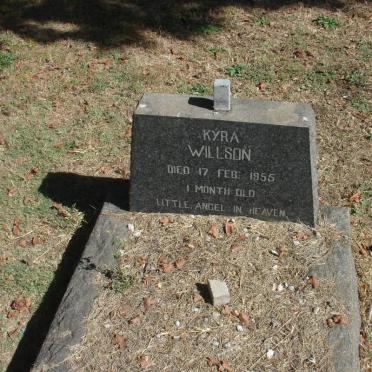 WILLSON Kyra -1955