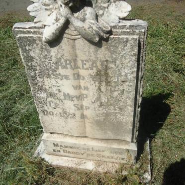 WYK Harlean, van 1935-1938