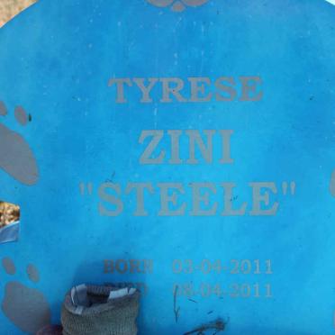 ZINI Tyrese 2011-2011