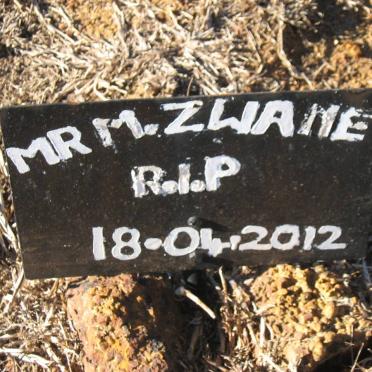 ZWANE M. -2012