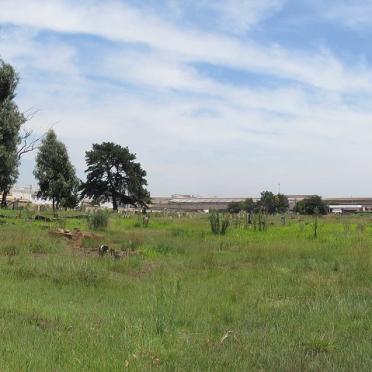 3. Overview on cemetery