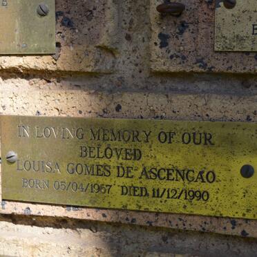ASCENCAO Louisa Gomes, de 1967-1990