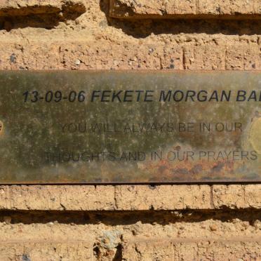 MORGAN, FEKETE -2006