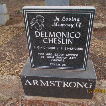 ARMSTRONG Delmonico Cheslin 1990-2000