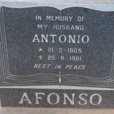 AFONSO Antonio 1905-1961