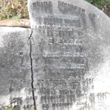 ALLAN Vivian 1926-1927