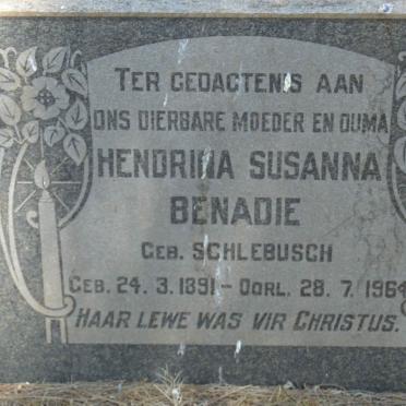 BENADIE Hendrina Susanna nee SCHLEBUSCH 1891-1964