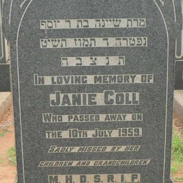 COLL Janie -1959