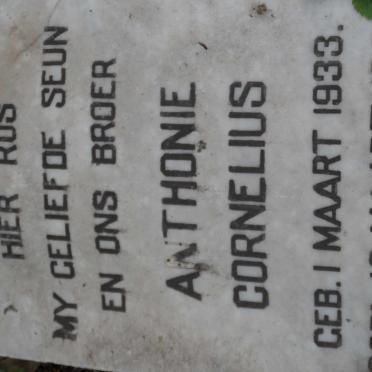 CORNELIUS Anthonie 1933-1954