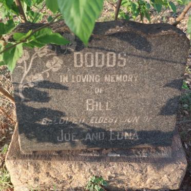 DODDS Bill