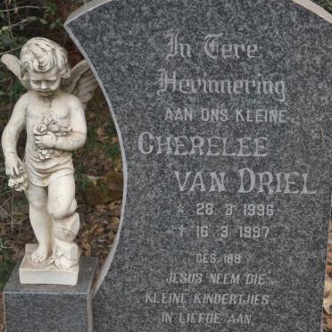 DRIEL Cherelee, van 1996-1997